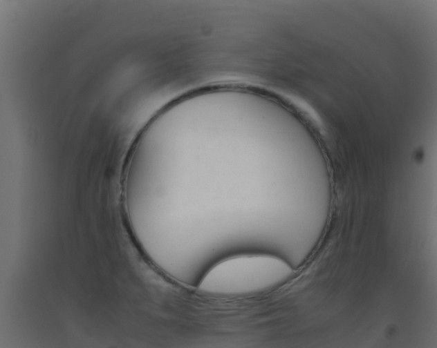 X0000093511279200710121056