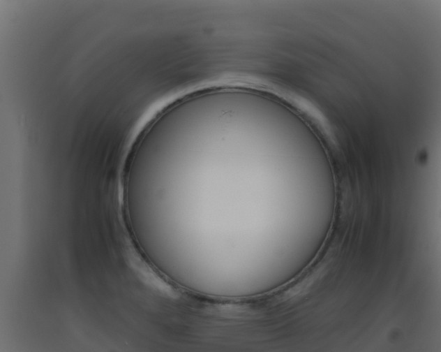 X0000093511280200710121056