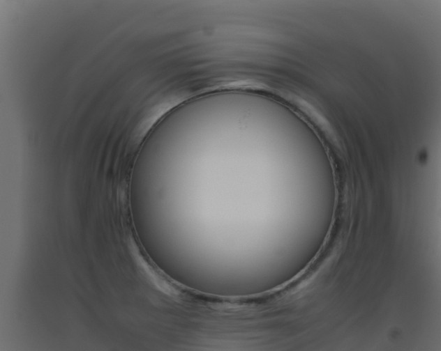 X0000093511281200710121056