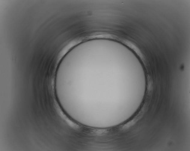X0000093511282200710121056