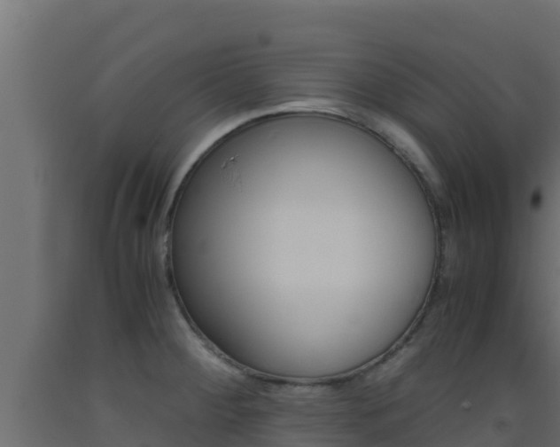 X0000093511284200710121056