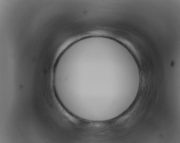 X0000093511286200710121056