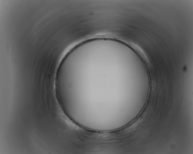 X0000093511288200710121056