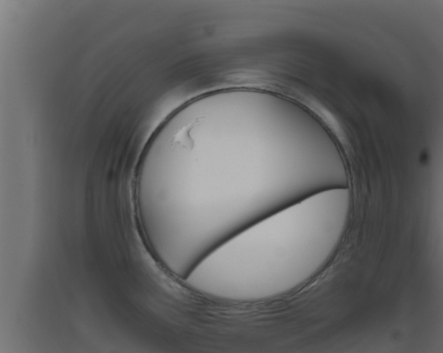 X0000093511291200710121055
