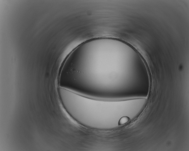 X0000093511293200710121055