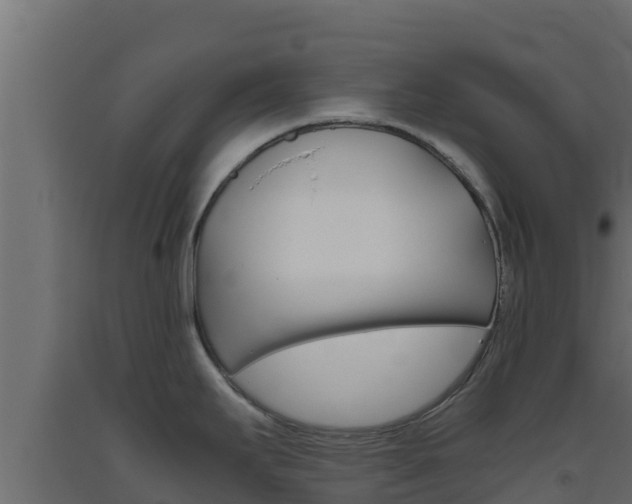 X0000093511295200710121055