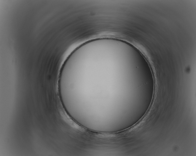 X0000093511296200710121055