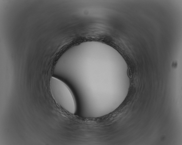 X0000093511297200710121055