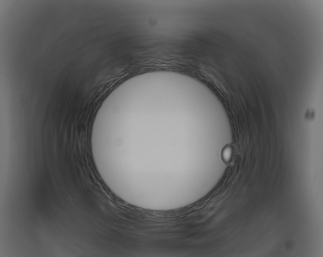 X0000093511298200710121055