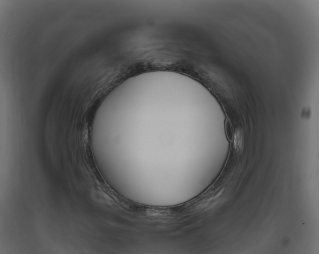 X0000093511299200710121055