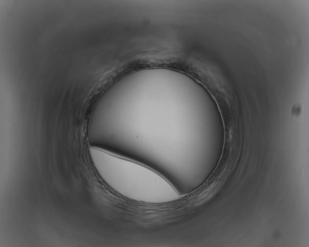 X0000093511300200710121055