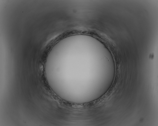 X0000093511302200710121055