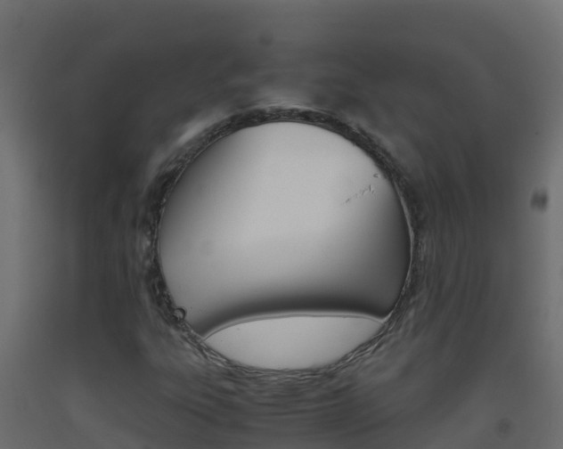 X0000093511303200710121055