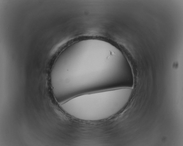 X0000093511304200710121055