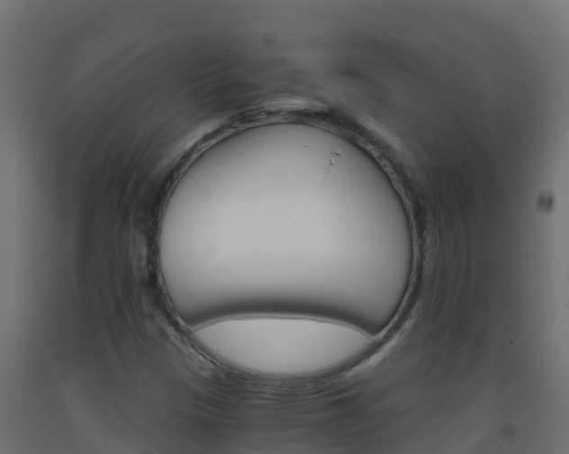X0000093511305200710121055