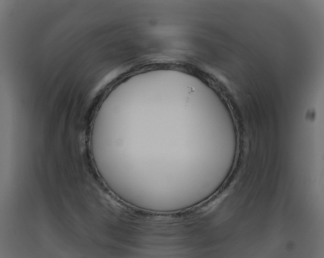 X0000093511306200710121055