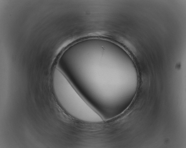 X0000093511308200710121055