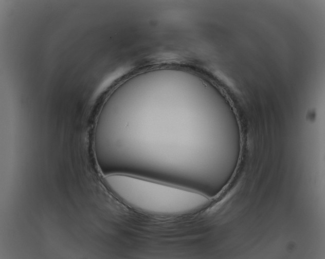 X0000093511309200710121055