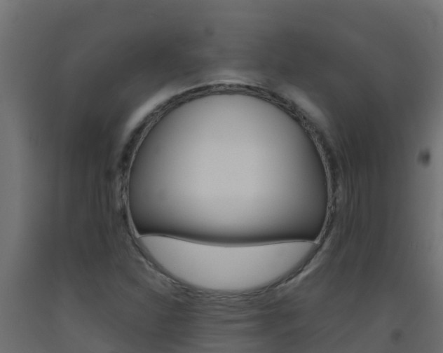 X0000093511310200710121055