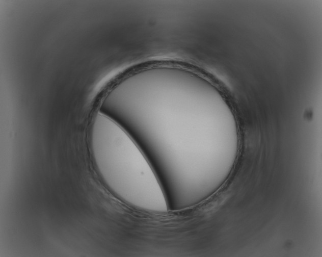 X0000093511311200710121055