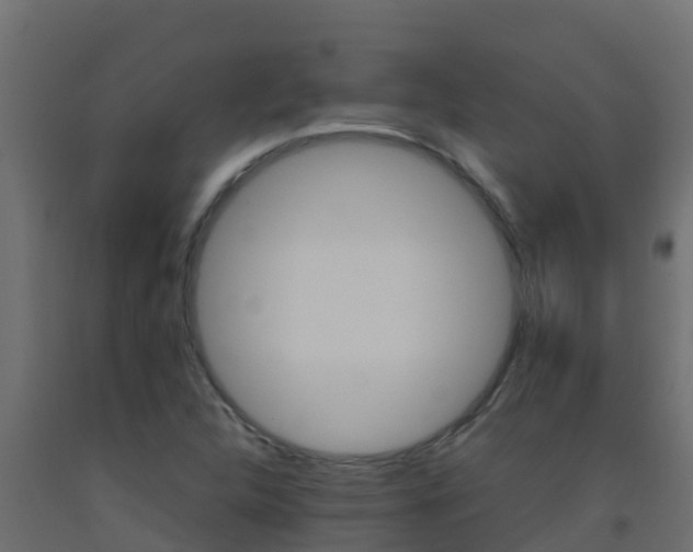X0000093511312200710121055