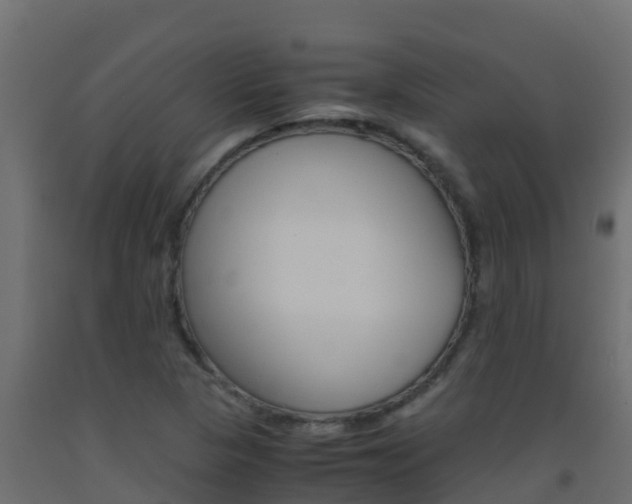X0000093511313200710121055