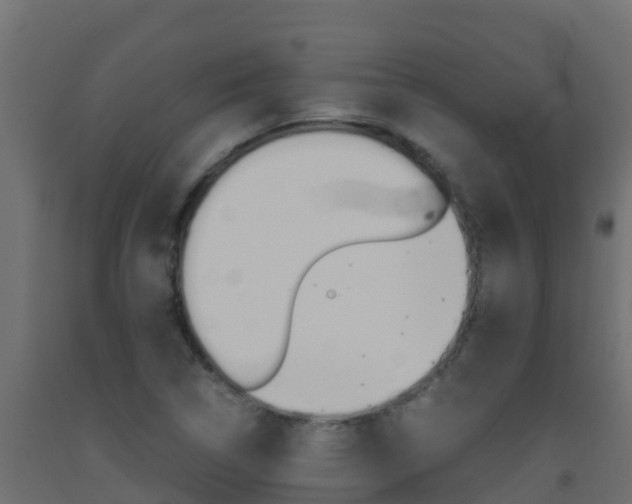 X0000093511314200710121055