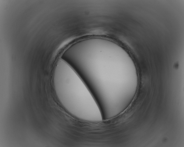 X0000093511315200710121055