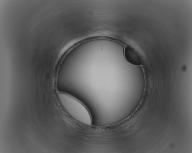 X0000093511316200710121055