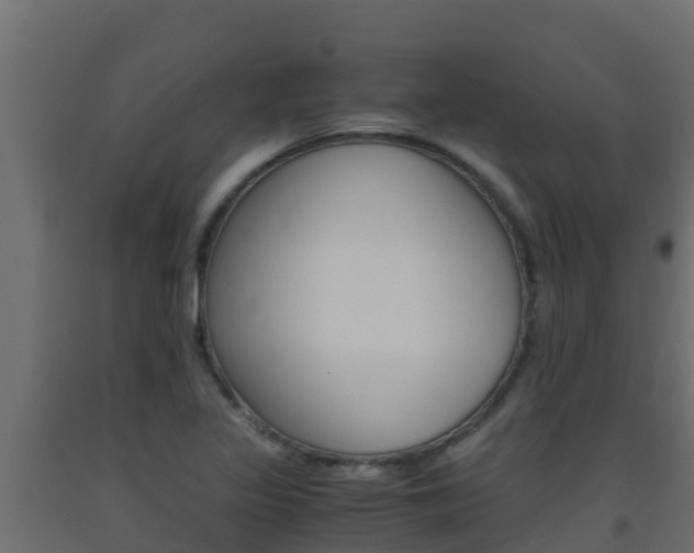 X0000093511317200710121055