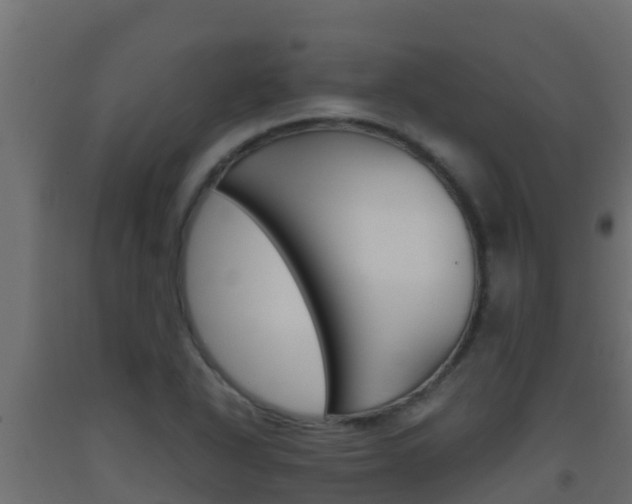 X0000093511318200710121055