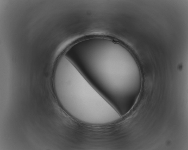 X0000093511319200710121055