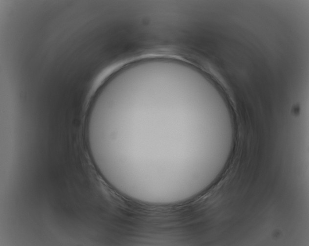 X0000093511320200710121055