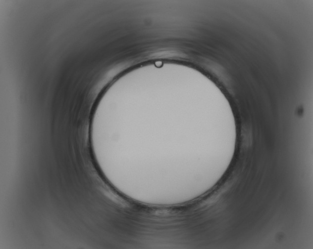 X0000093511322200710121055