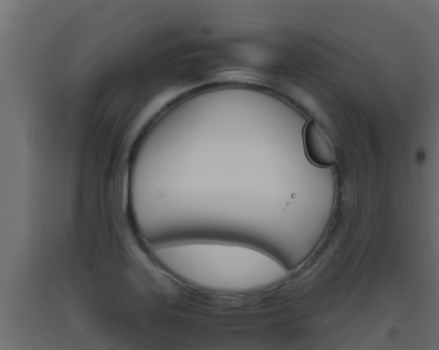 X0000093511323200710121055