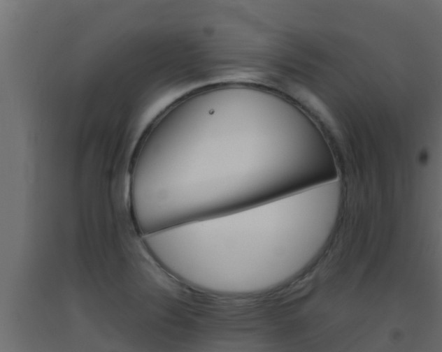 X0000093511324200710121055