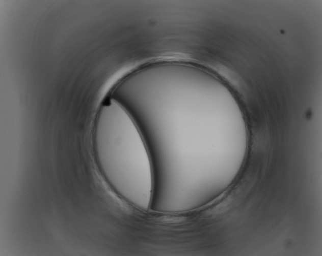 X0000093511325200710121055