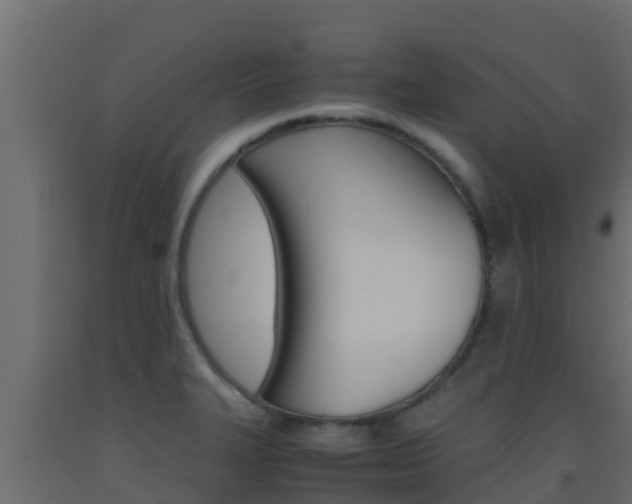 X0000093511327200710121055
