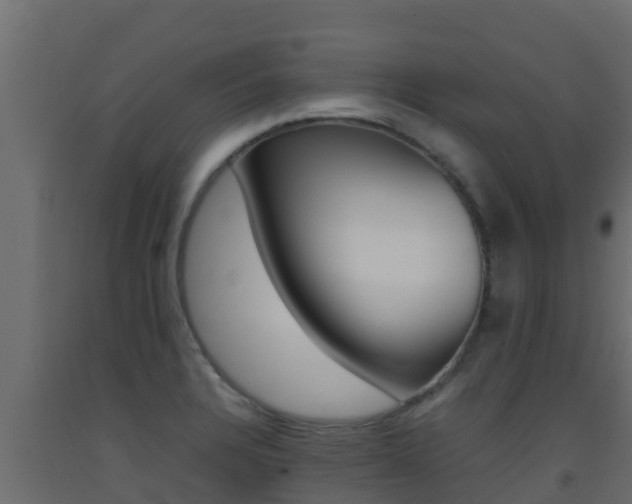 X0000093511328200710121055