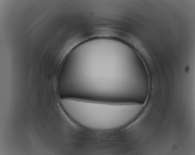 X0000093511329200710121055