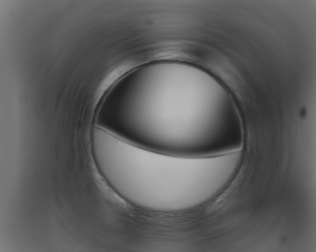 X0000093511330200710121055
