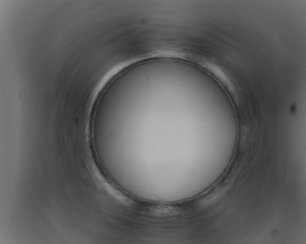 X0000093511331200710121055