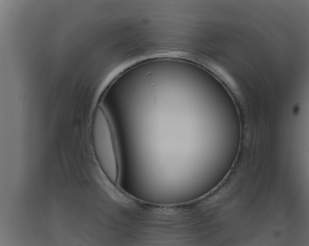 X0000093511332200710121055