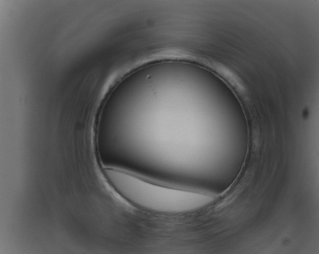 X0000093511334200710121055