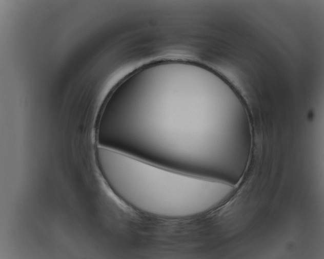 X0000093511335200710121055