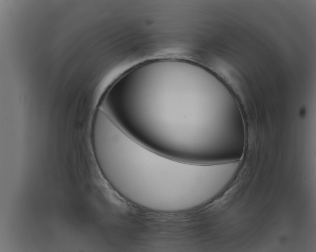 X0000093511336200710121055