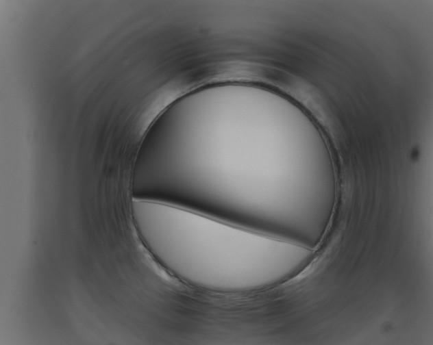 X0000093511337200710121055