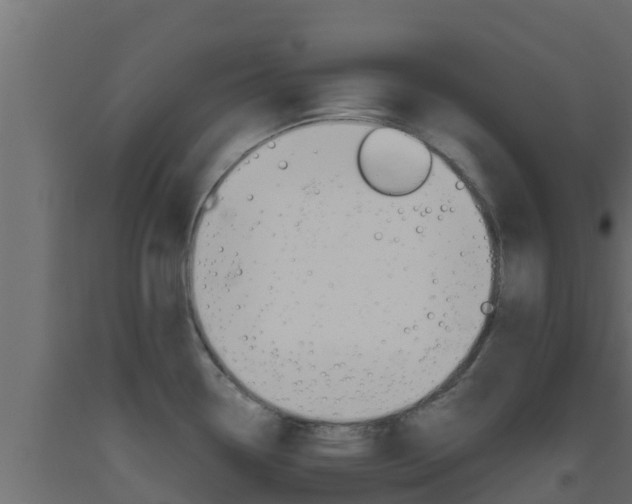 X0000093511338200710121055