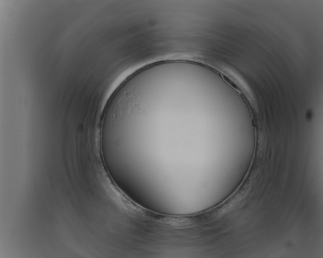 X0000093511340200710121055
