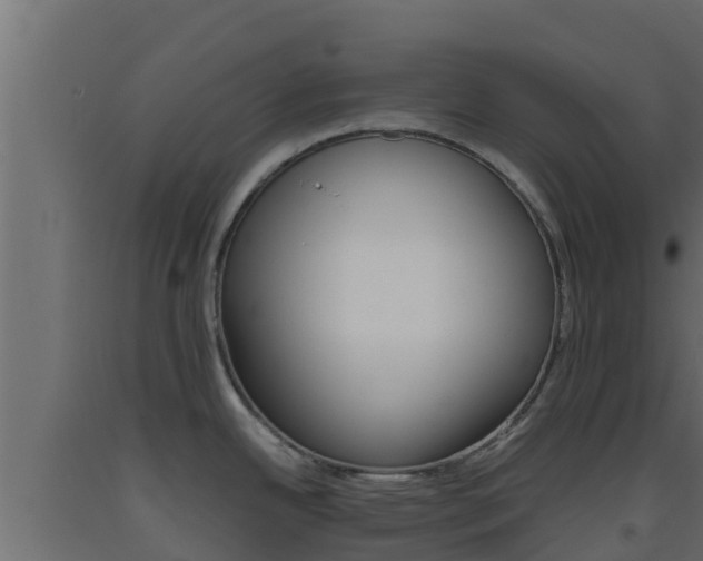 X0000093511342200710121055